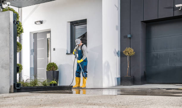 Best Rust Removal  in Augusta, KY